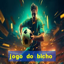 jogo do bicho crash bingo